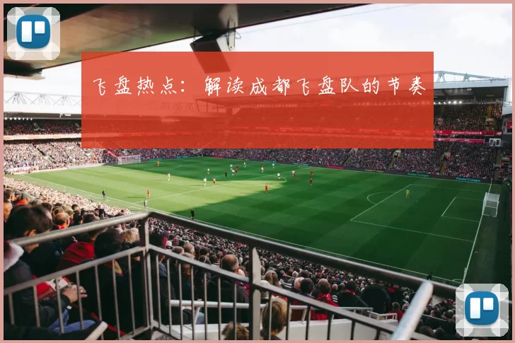 飞盘热点：解读成都飞盘队的节奏