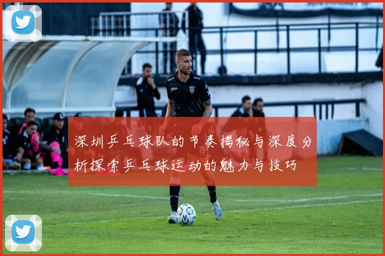 深圳乒乓球队的节奏揭秘与深度分析探索乒乓球运动的魅力与技巧