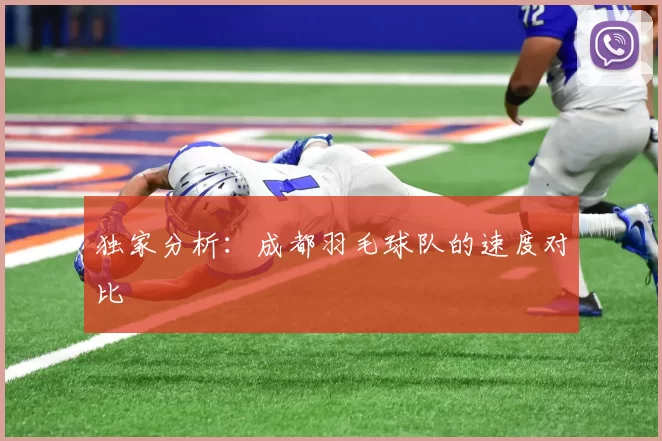 独家分析：成都羽毛球队的速度对比