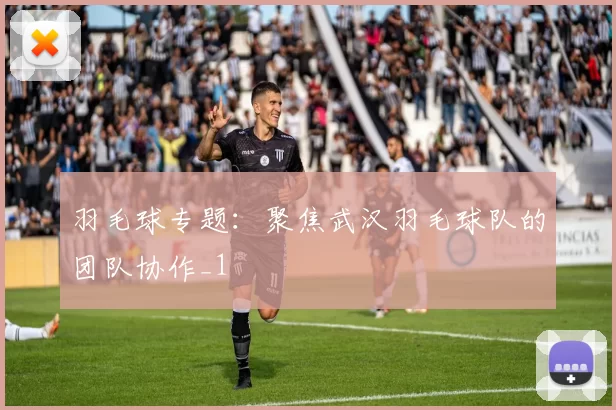 羽毛球专题：聚焦武汉羽毛球队的团队协作_1