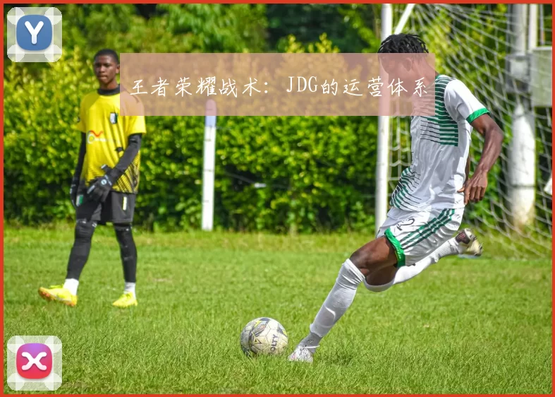 王者荣耀战术：JDG的运营体系