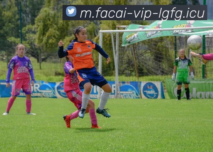 爱游戏体育APP 封面图